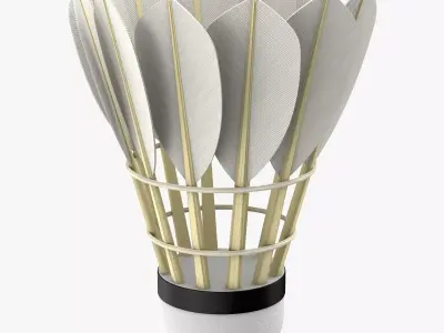 Shuttlecock 3D model