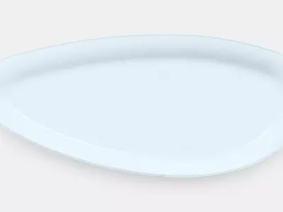 FROJDEFULL Serving plate 3D model