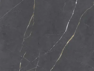 Graphite Nero Marble with Gold Veins  Texture