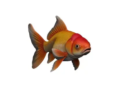 Goldfish Low-poly 3D model