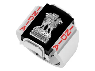 Indian Ashoka Ring 3D print model