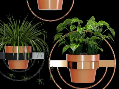 Wall Planters 3D model