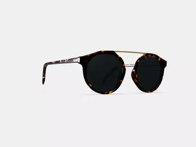 Cooper Sunglasses in Black Oak Tortoise with Polished Gold 3D model