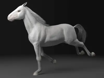 Horse model running 3D model