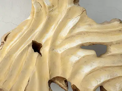 Root on Stand  3D model