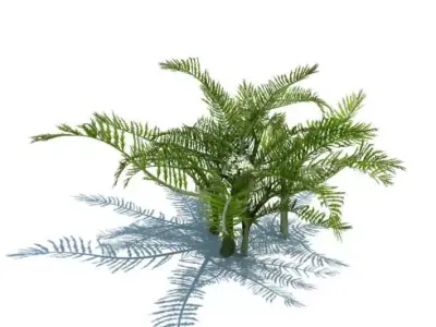 Plant Green Fern 3D model