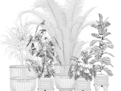 Plants collection 136 3D model