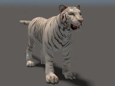 White Tiger High Poly and Low Poly Low-poly 3D model