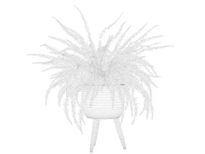 Fern in biedge pot 3D model