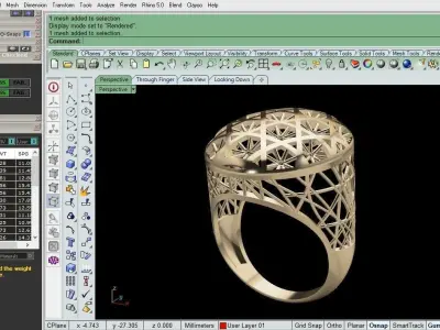 wier ring 3D print model