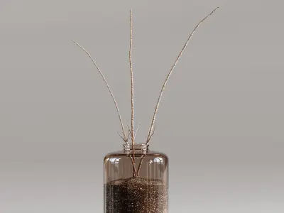 Pampas For Interior 3D model