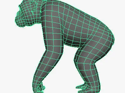 Low Poly Chimpanzee gorilla Low-poly 3D model