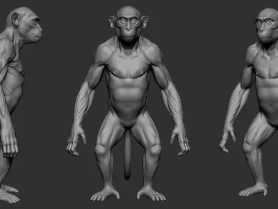 Monkey  3D model