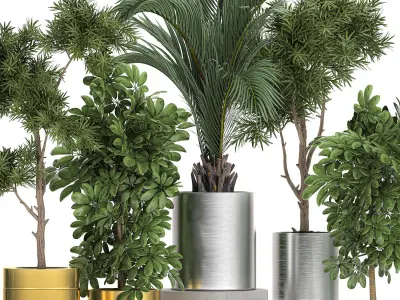 Ornamental plants in a chrome flowerpot 784 3D model