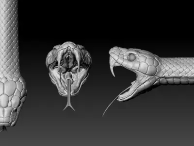 Snake highpoly head 3D model
