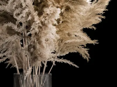 Bouquet Dried Flowers From Pampas Grass In A Vase 3D model