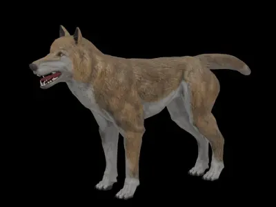 Wolf Game Model Low-poly 3D model