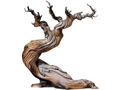 Decorative Old Twisted Weathered Tree with Gnarled Branches 3D model