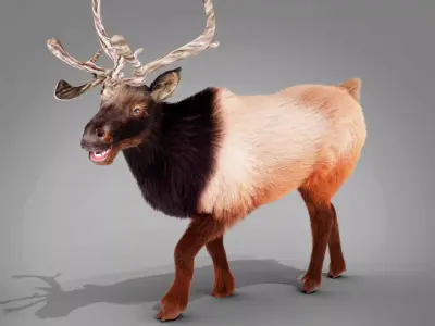 Fur Red Reindeer Rigged Blender  Low-poly 3D model