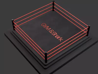  Modern Wrestling Ring 3D Model High-Quality Low-poly 3D model