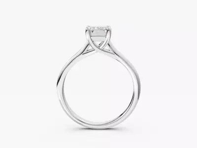 ZABS003A-EM ENGAGEMENT 3D print model