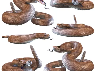 Rattlesnake snake 3D model