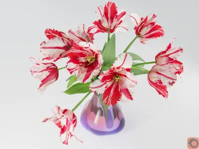 Fringe Tulips 3D model
