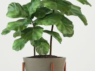 Plants collection 74 Modernica pots 3D model