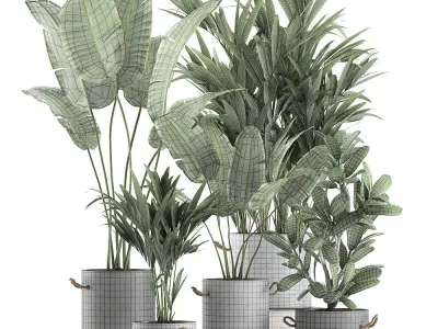 Plants in flower pots for the interior 595 3D model