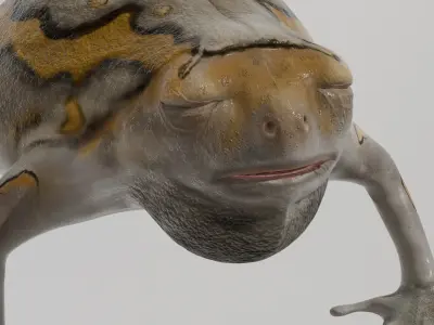 Lowpoly Banded Bullfrog Low-poly 3D model