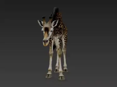 Elegant Tall Giraffe 3D Artistic Showpiece Design 3D print model