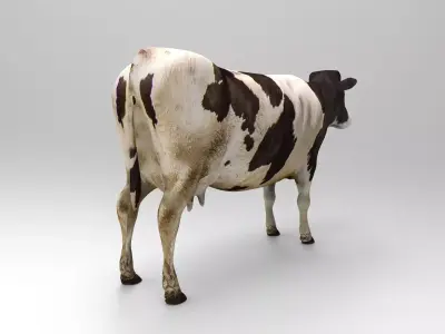 Black White Cow  Low-poly 3D model