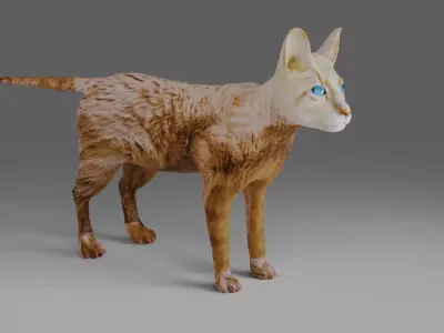 Cat White NO Rigged in Blender  Low-poly 3D model