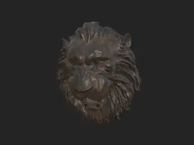 Lion Face 3D Model 3D model