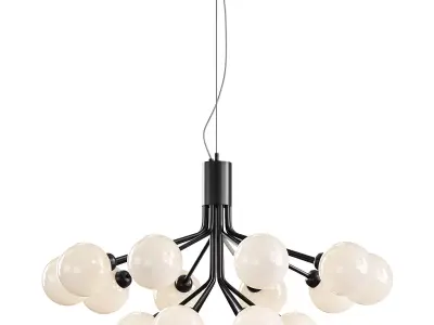Apiales Chandelier 3D model