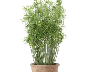 Outdoor Plants Bamboo in rusty Clay Pots - Set 10 3D model