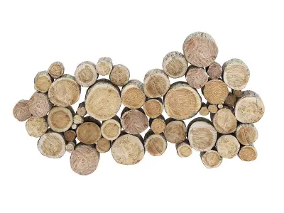 Wood Logs Decoration 3D model