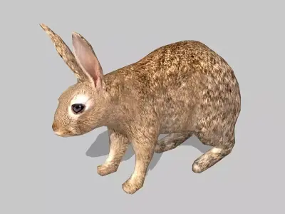 rabbit bunny Low-poly 3D model