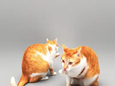 Cat licking paw 45 Low-poly 3D model