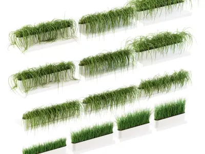 Grass on the shelves of 13 models 3D model