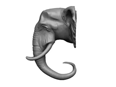 elephant head 3D print model order