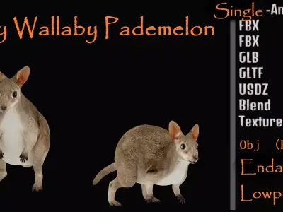 Dusky Wallaby Pademelon Low-poly 3D model