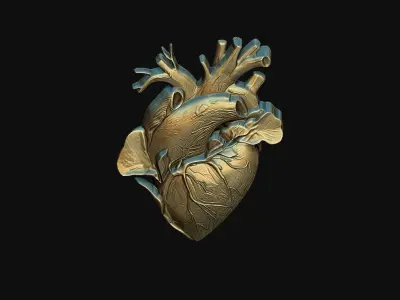 Heart 03 3D print model