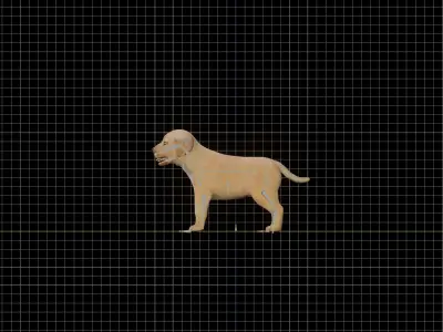Golden Retriever Puppy Dog Low-poly 3D model