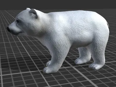 Polar Bear Cub Low-poly 3D model