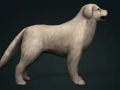 dog character rigged animated Low-poly 3D model