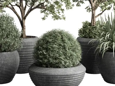 Collection indoor outdoor plant tree grass vase dirty concrete 3D model