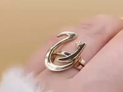 gift ring 3D print model
