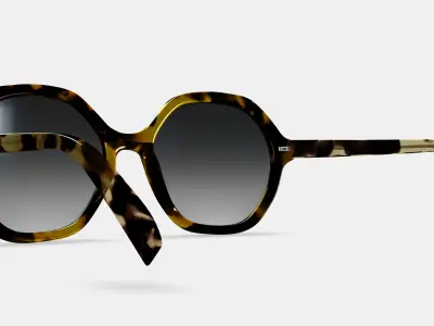 Rachel Sunglasses in Mesquite Tortoise 3D model