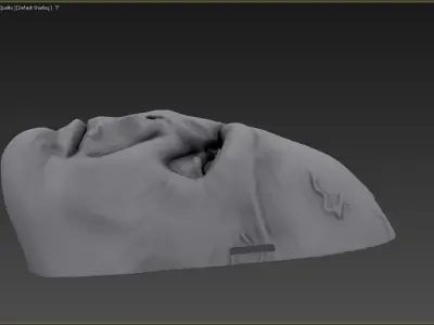 Lord Voldemort Mask  3D Print-Ready STL for True Wizarding Fans 3D print model